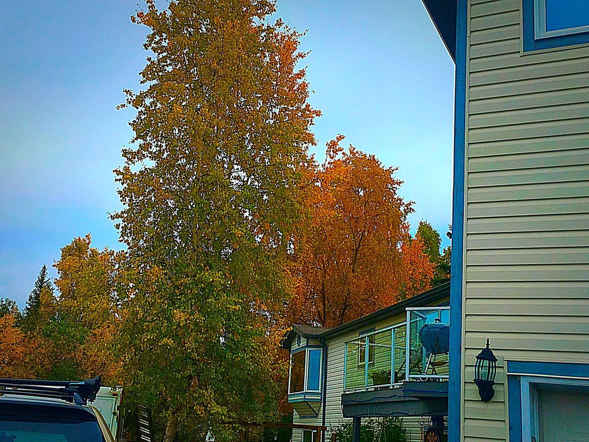 Bed and Breakfast Mabuhay Lakeside Manor Yellowknife Exteriér fotografie